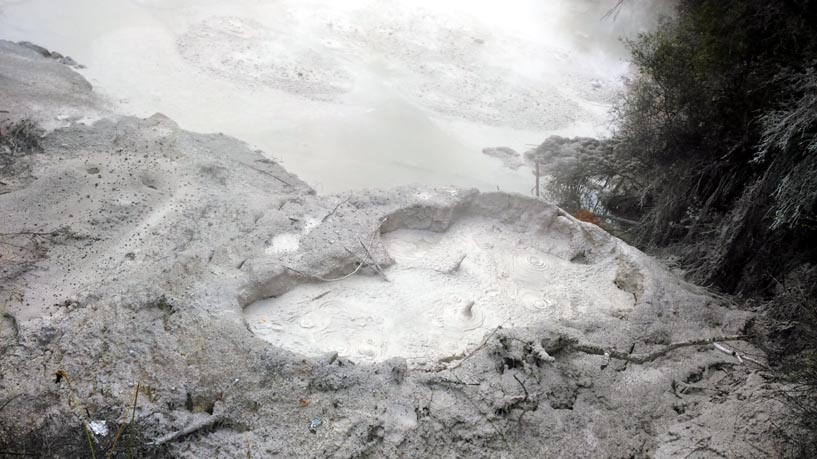 Tour Innovator - Innovating Your Destination